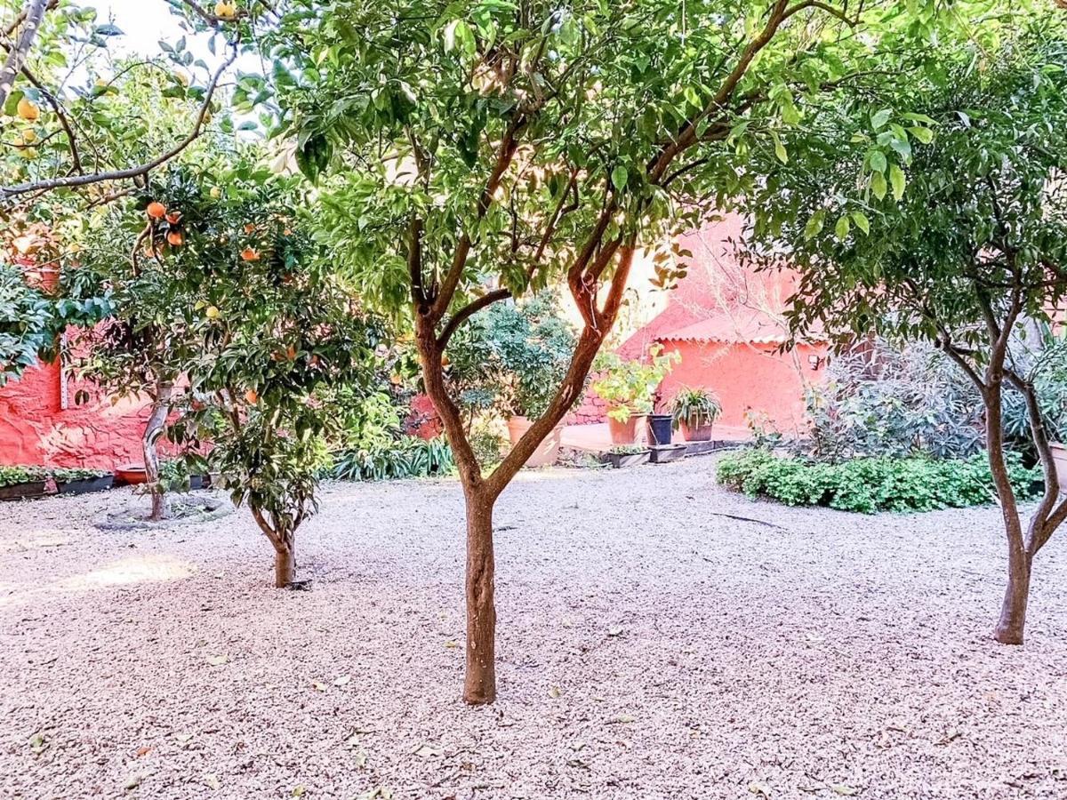 شقة Liguria Garden أولبيا المظهر الخارجي الصورة